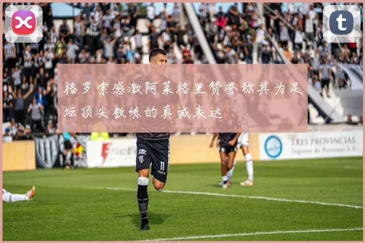 格罗索感激阿莱格里赞誉称其为足坛顶尖教练的真诚表达